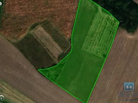 Sale, land lot, 99m², Supska, Ćuprija