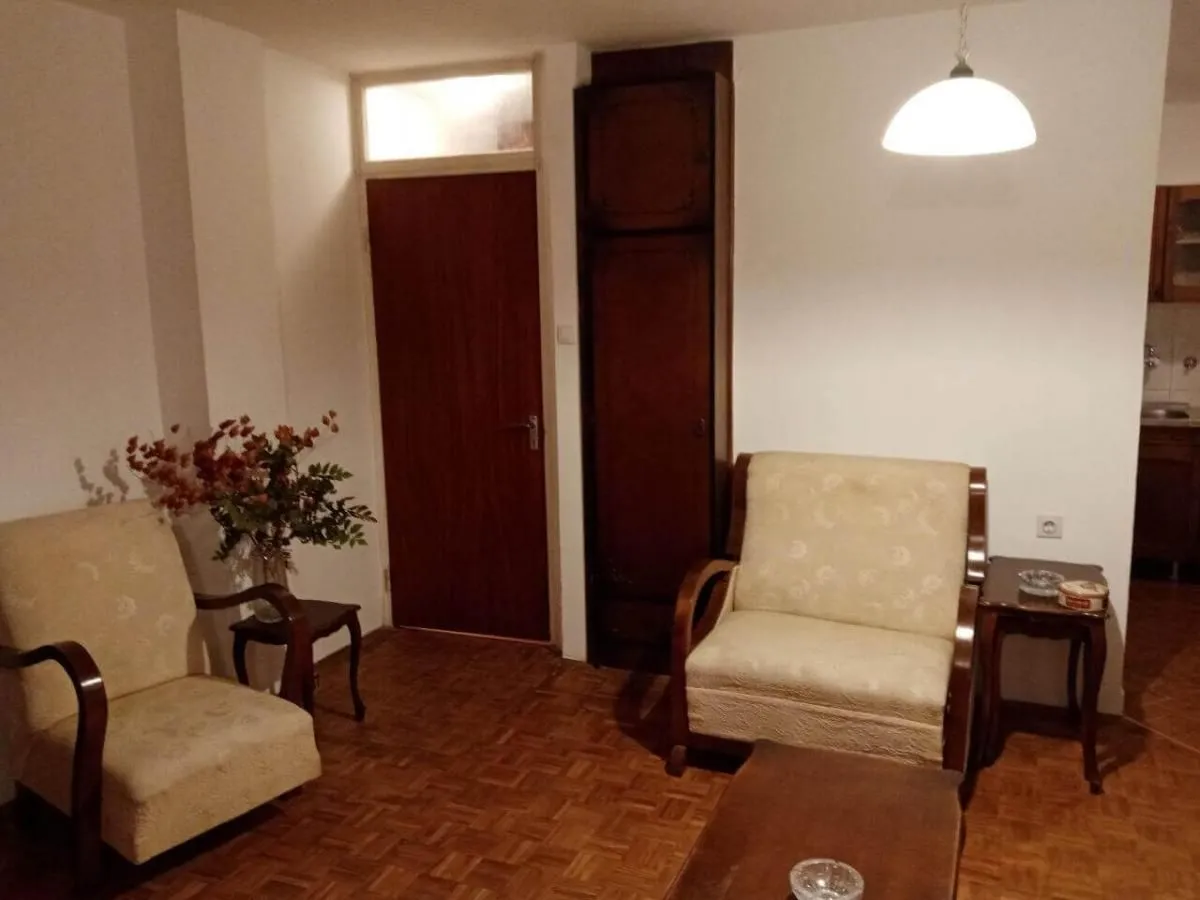 Izdavanje, dvosoban stan, 50m², Novi Beograd Blok 29, Novi Beograd Sve Podlokacije