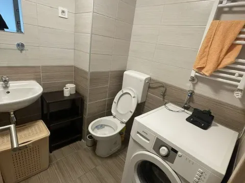 Izdavanje, jednosoban stan, 37m², Jugovićevo, Novi Sad Sve Podlokacije - image 5