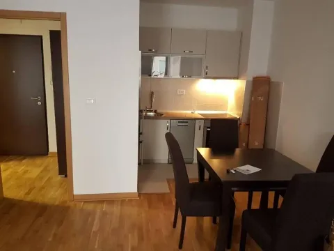 Izdavanje, jednosoban stan, 44m², City Kvart, Podgorica - image 8