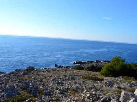 Prodaja, plac, 3000m², Herceg Novi, Crna Gora - image 9