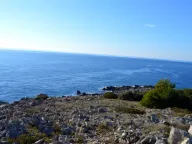 Prodaja, plac, 3000m², Herceg Novi, Crna Gora - image 9