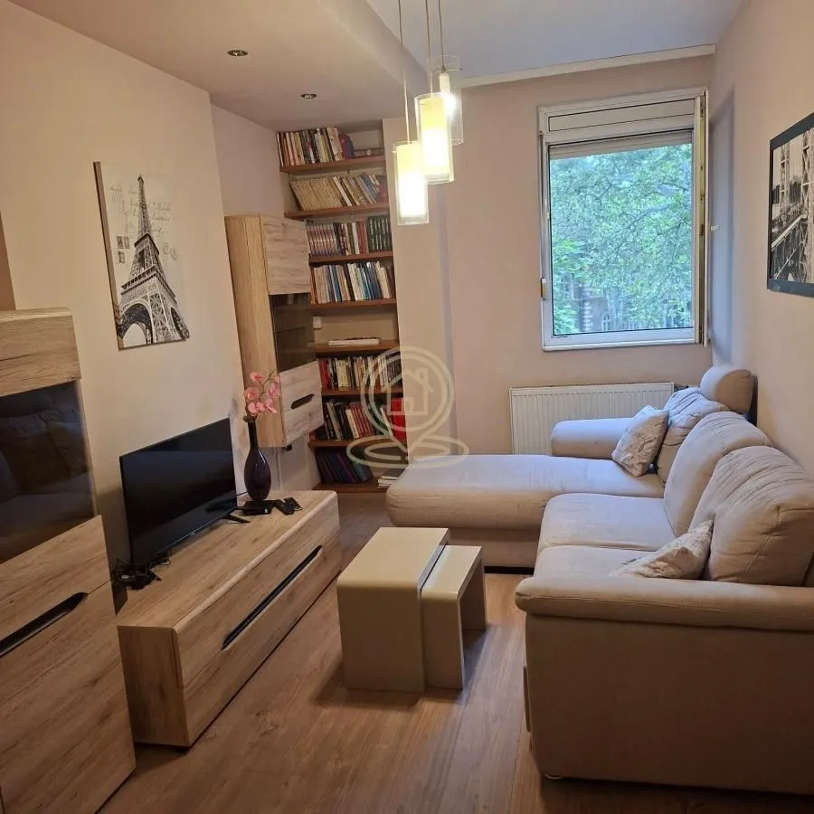 Rent, one bedroom apartment, 42m², Grbavica, Novi Sad Sve Podlokacije