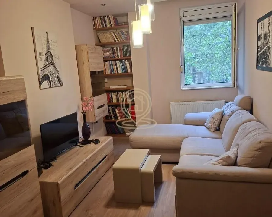Rent, one bedroom apartment, 42m², Grbavica, Novi Sad Sve Podlokacije