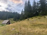 Prodaja, plac, 1330m², Žabljak, Crna Gora - image 2