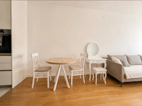 Prodaja, jednosoban stan, 47m², Central Point, Podgorica - image 3
