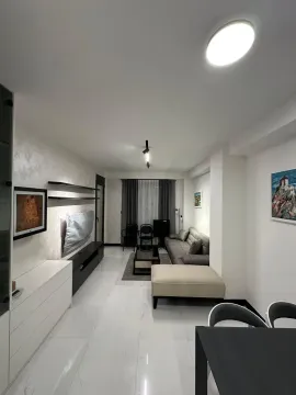 Rent, one bedroom apartment, 45m², Zagorič, Podgorica - image 2