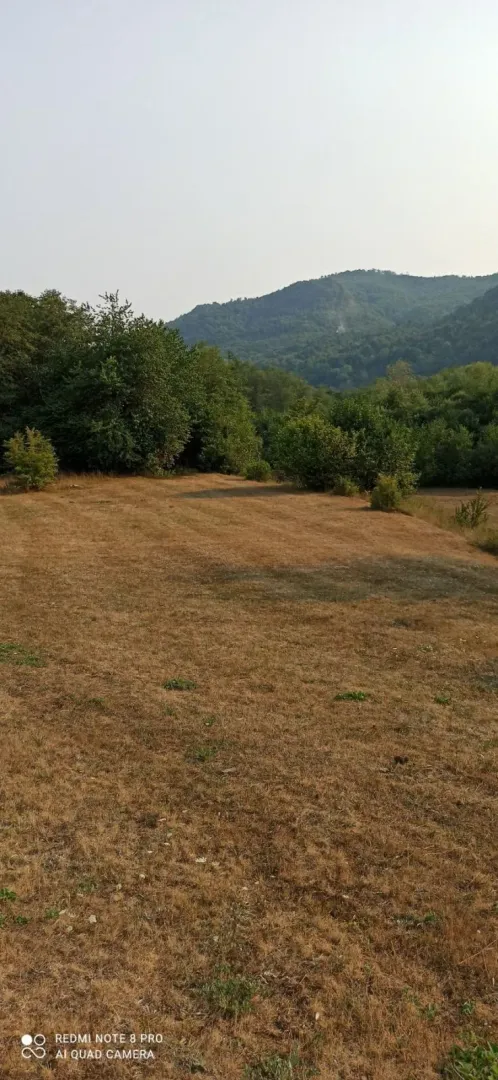 Prostrana parcela sa suvom travom okružena drvećem i brdima u pozadini.