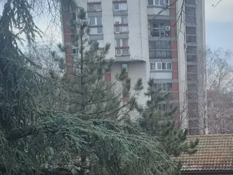 Sale, three bedroom apartment, 74m², Zemun Sve Podlokacije, Beograd - image 17