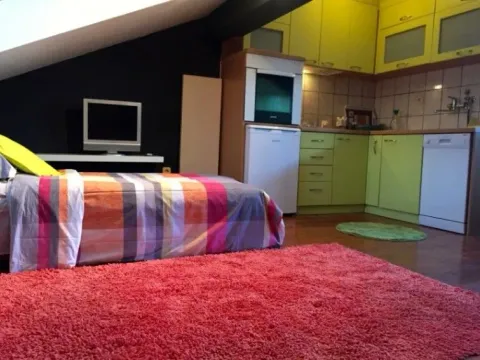 Izdavanje, garsonjera, 30m², Centar, Cetinje - image 2