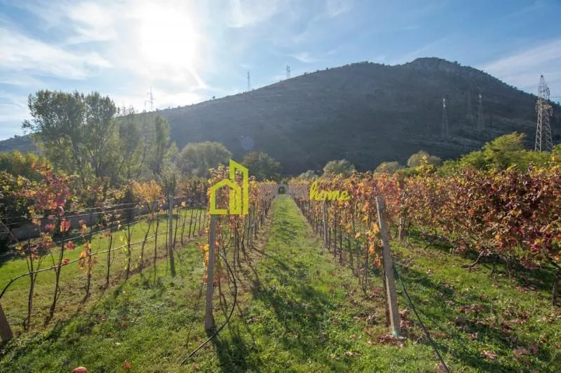 Izdavanje, kuća, 250m², Tološi, Podgorica
