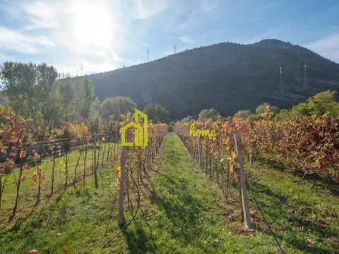 Izdavanje, kuća, 250m², Tološi, Podgorica - image 13