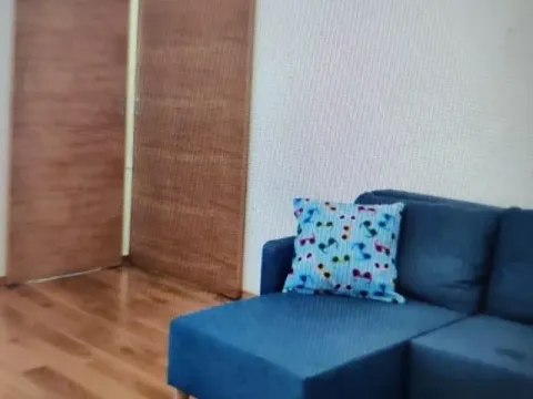 Izdavanje, dvosoban stan, 51m², Zemun Sve Podlokacije, Beograd - image 6