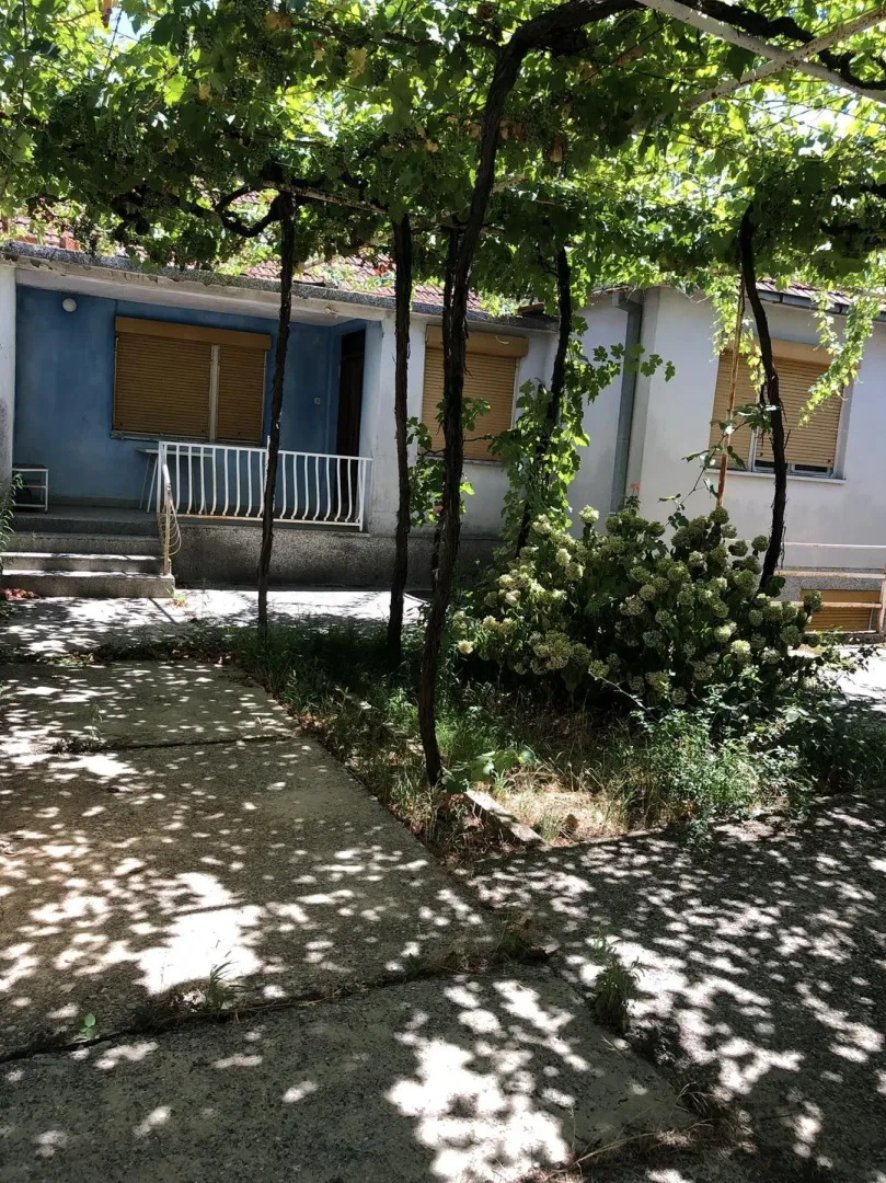 Dvorište kuće sa vinovom lozom i zelenilom ispred fasade.