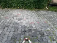 Prodaja, dvosoban stan, 61m², Tološi, Podgorica - image 10