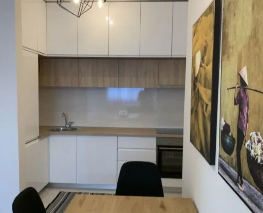 Izdavanje, jednosoban stan, 51m², Central Point, Podgorica