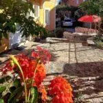 Prodaja, kuća, 320m², Babilonija, Budva - image 13