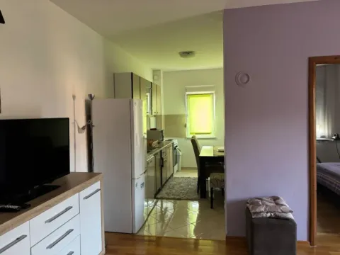 Daily-rent, one bedroom apartment, 50m², Ilino, Bar - image 9