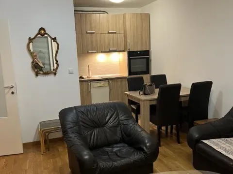 Izdavanje, jednosoban stan, 41m², Nova Detelinara, Novi Sad Sve Podlokacije - image 3