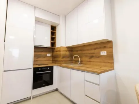 Izdavanje, jednosoban stan, 46m², Stari Aerodrom, Podgorica - image 7