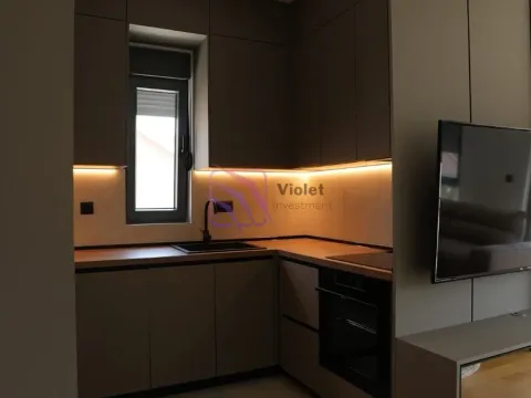 Izdavanje, jednosoban stan, 47m², Dalmatinska ulica, Podgorica - image 30