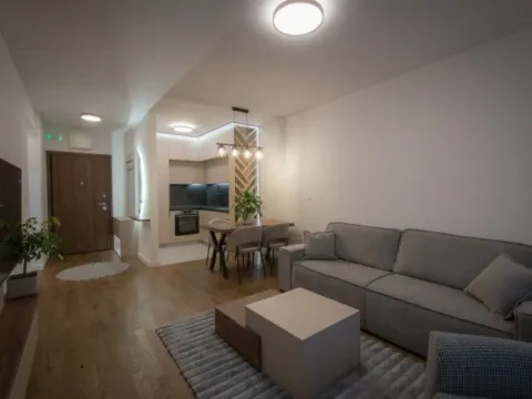 Izdavanje, jednosoban stan, 47m², Stari Aerodrom, Podgorica - image 7