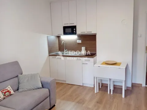 Izdavanje, stan, 25m², Čukarica, Beograd - image 4