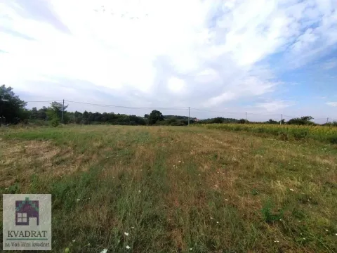 Sale, land lot, 5000m², Trlić, Ub - image 3