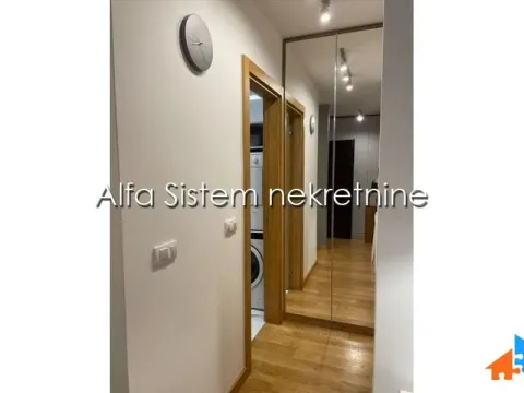 Izdavanje, dvosoban stan, 39m², Vračar Sve Podlokacije, Beograd - image 9