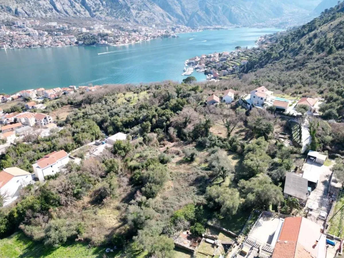 Prodaja, plac, 2500m², Kotor, Crna Gora