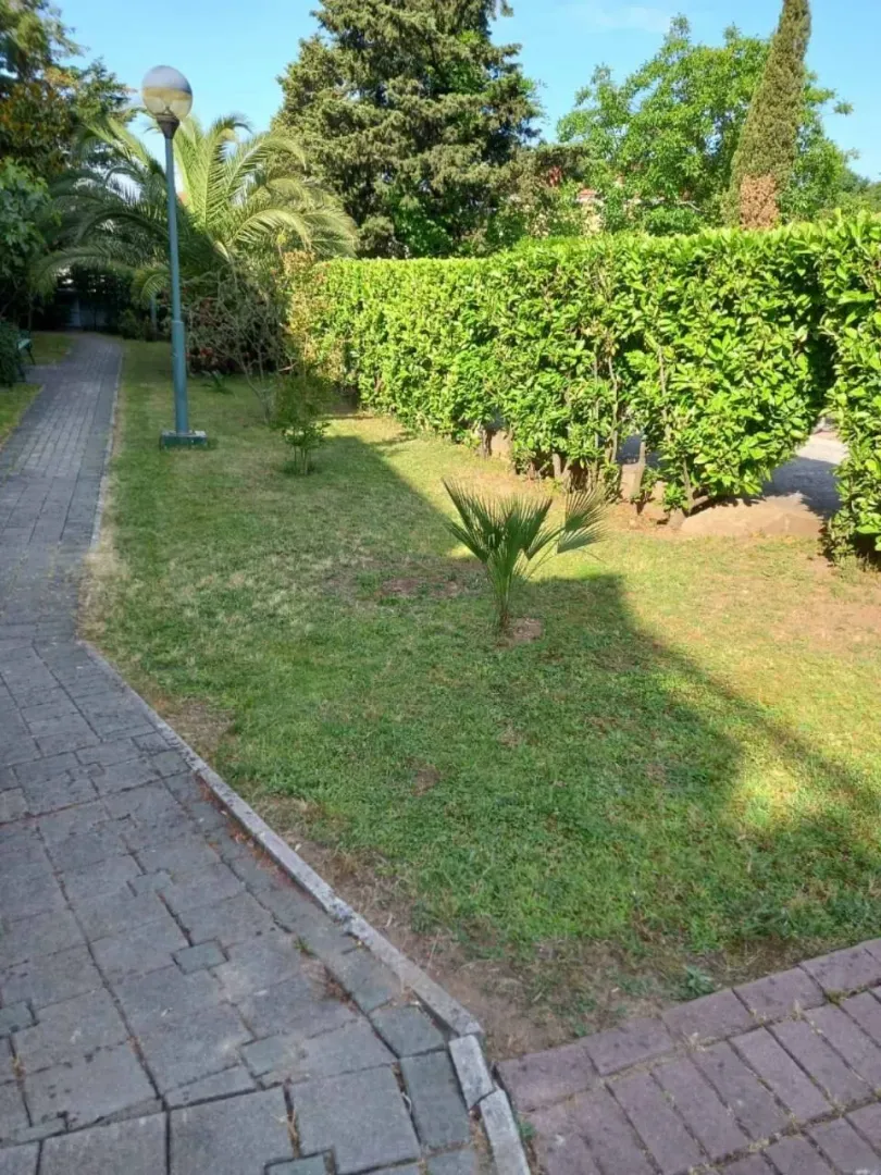 Uređeno dvorište sa stazom, travnjakom i zelenilom.