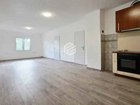 Izdavanje, četvorosoban stan, 300m², Masline, Podgorica - image 2