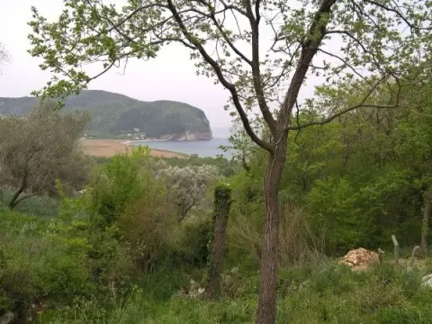 Sale, land lot, 2000m², Buljarica, Budva - image 6
