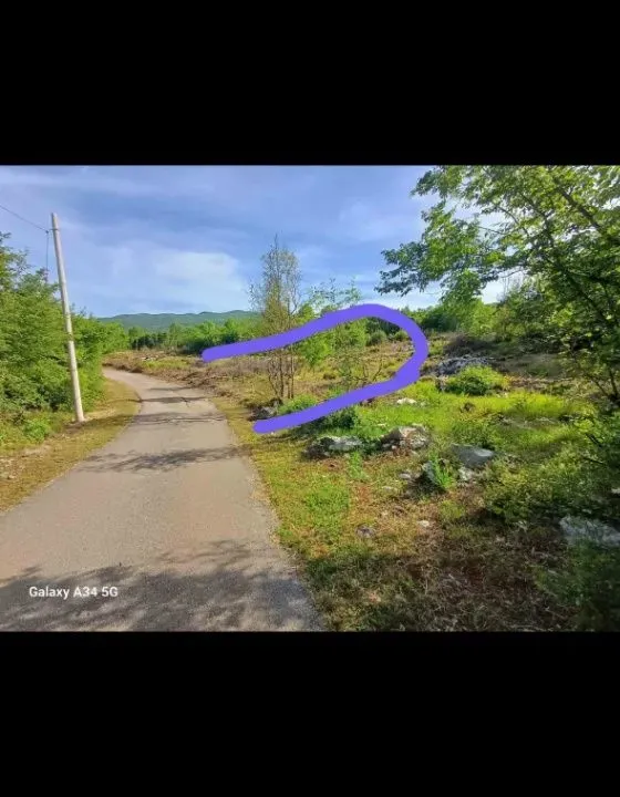 Sale, land lot, 2940m², Bandići, Danilovgrad