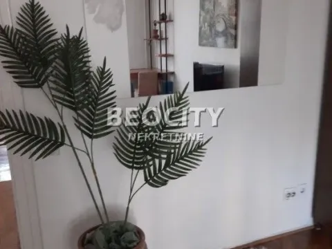 Izdavanje, stan, 40m², Centar, Novi Sad - image 3