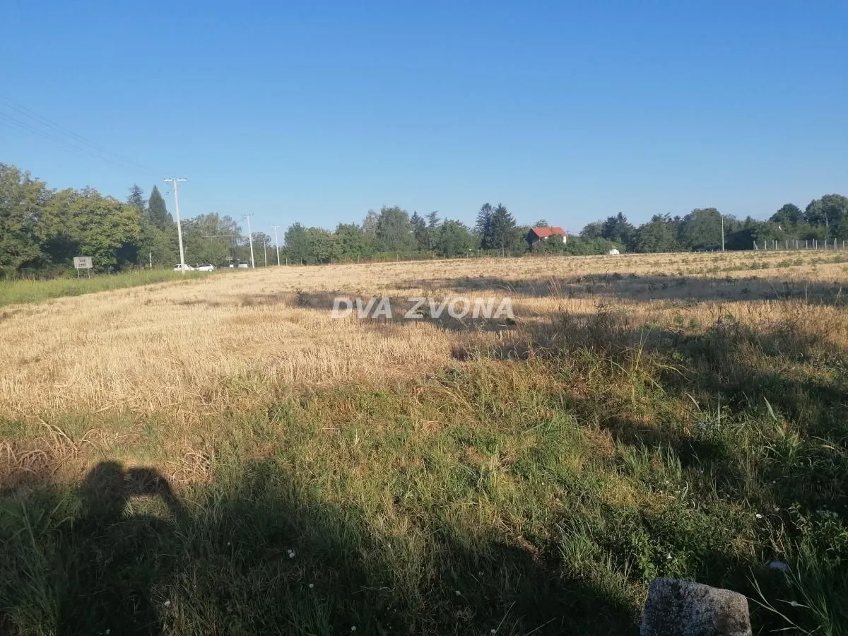 Prodaja, plac, 1300m², Čortanovci, Inđija