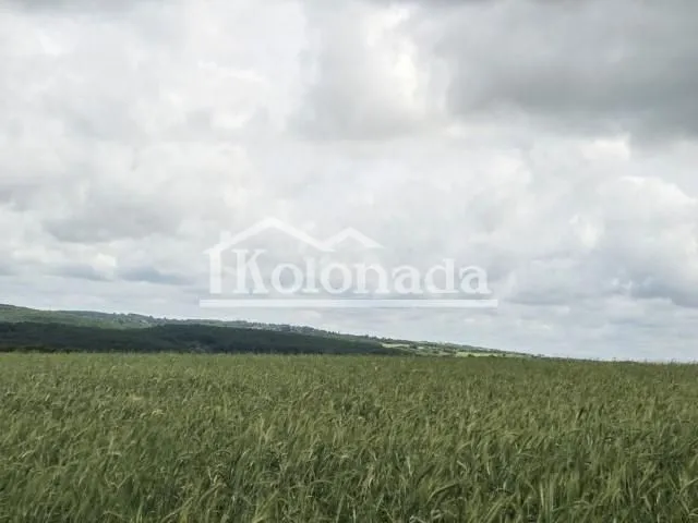 Prodaja, plac, 6100m², Dučina, Sopot