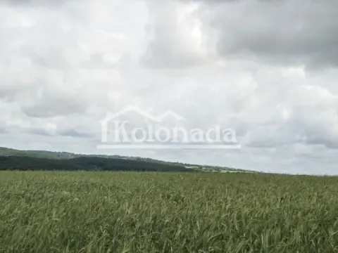 Sale, land lot, 6100m², Dučina, Sopot - image 3