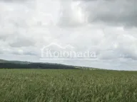 Prodaja, plac, Dučina, Sopot - image 3