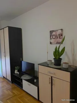 Part of the living room with a TV unit, wardrobe, and decorative details. - image 2