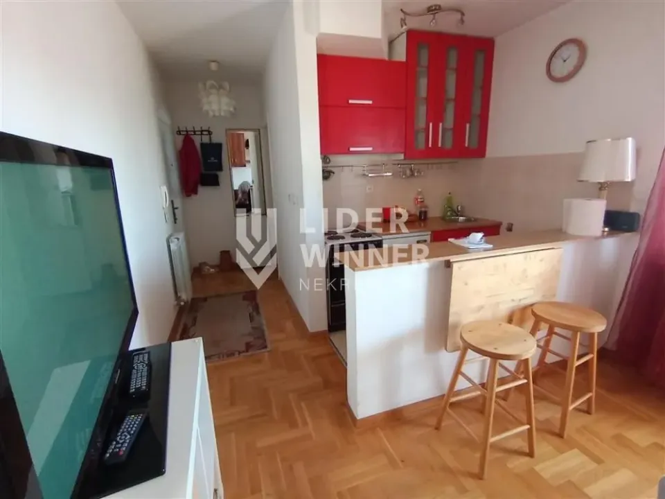 Rent, one bedroom apartment, 30m², Cvetkova Pijaca, Zvezdara Sve Podlokacije