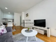 Izdavanje, jednosoban stan, 50m², Central Point, Podgorica - image 8