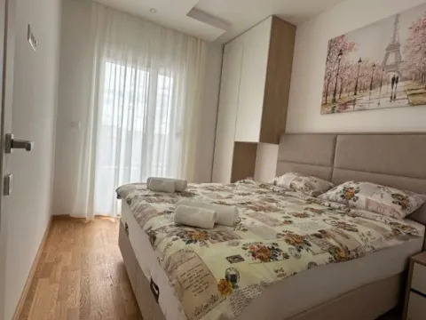 Izdavanje, jednosoban stan, 47m², Zabjelo, Podgorica - image 7