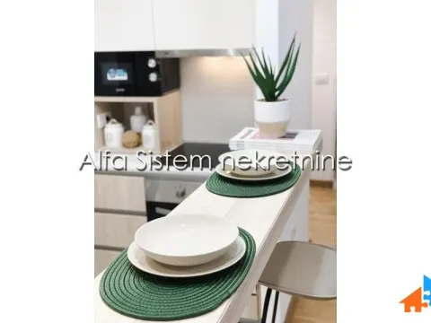 Rent, two bedroom apartment, 56m², Savski Venac, Beograd - image 10
