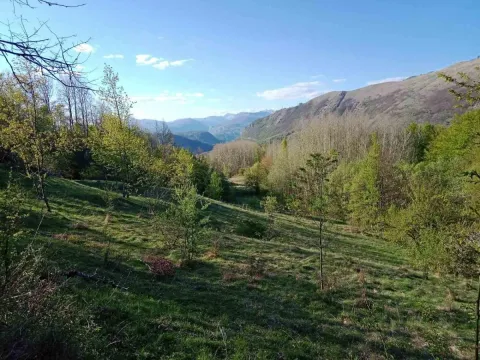 Prodaja, plac, 13700m², Miloševići, Šavnik - image 4
