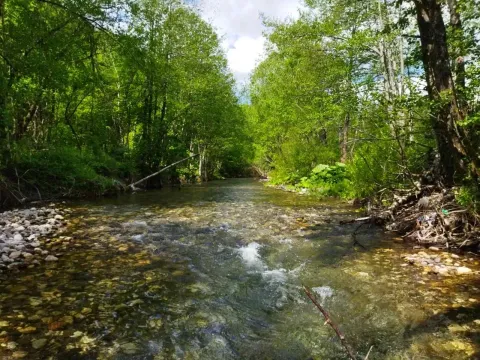 Prodaja, plac, 10000m², Kolašin, Crna Gora - image 5