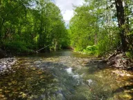 Prodaja, plac, 10000m², Kolašin, Crna Gora - image 5