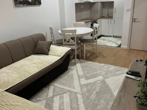Izdavanje, jednosoban stan, 43m², Zabjelo, Podgorica - image 2