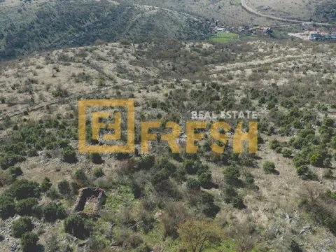 Prodaja, plac, 39000m², Ostalo, Podgorica - image 3