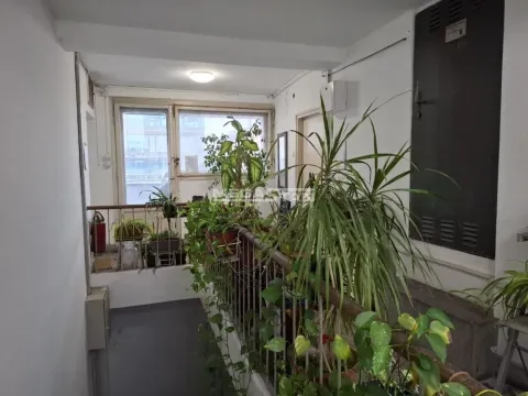 Izdavanje, dvosoban stan, 52m², Palilula Sve Podlokacije, Beograd - image 15